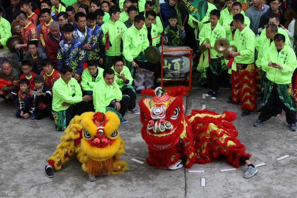 【五邑文脉】鹤山狮艺:南狮王者,威震四方