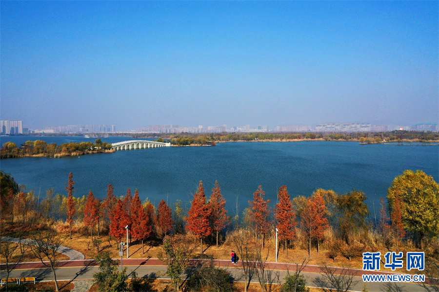 11月28日,安徽省淮北市南湖湿地公园层林尽染,碧波荡漾,色彩斑斓,构成