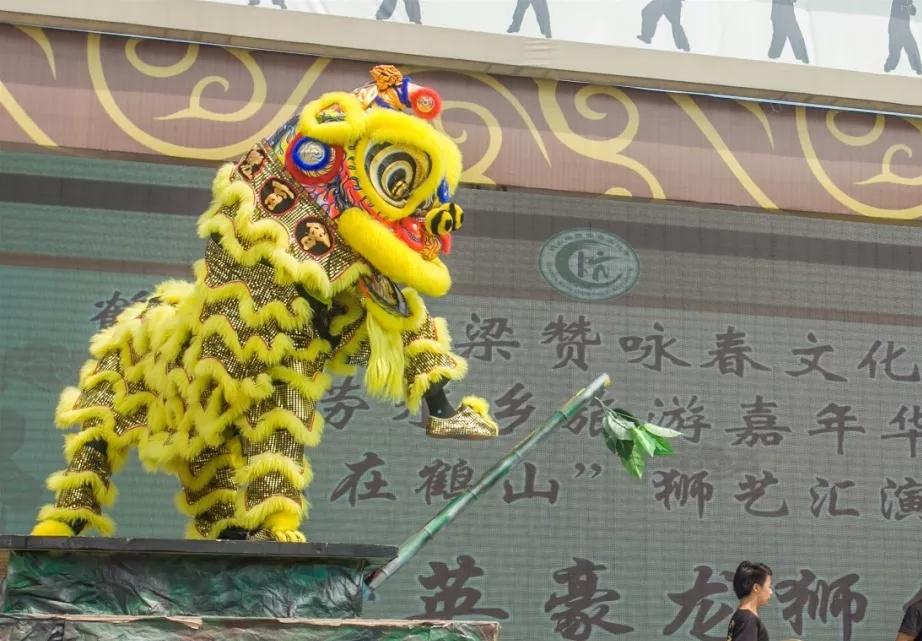 五邑文脉鹤山狮艺南狮王者威震四方