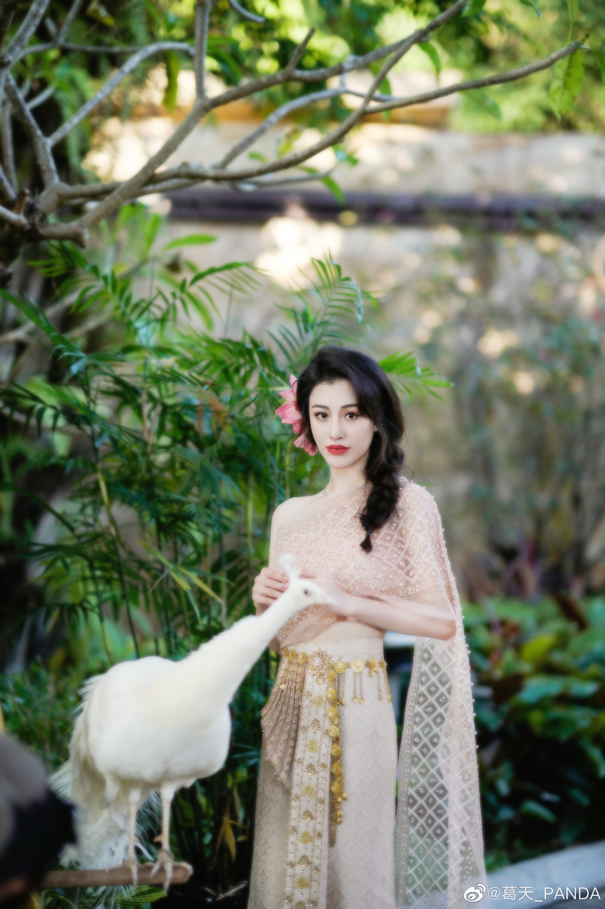 90后葛天清纯貌美保持单身__财经头条