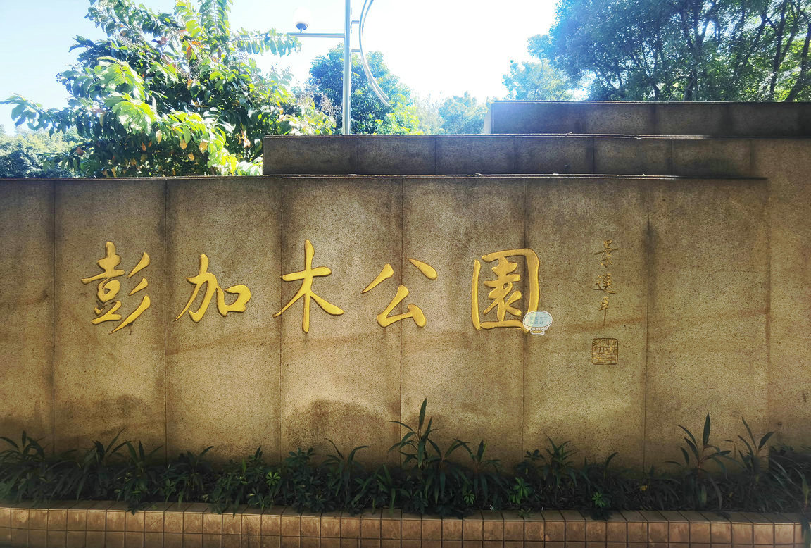 广州这"城中村"建筑,主人在"罗布泊"神秘失踪,今未找到遗骸|彭加木