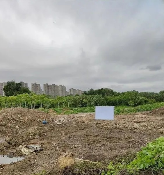 【土拍快讯】4.66亿！交投集团底价竞得金山湖奥体地块|楼面价|规划|道路|凯旋|住房_新浪新闻