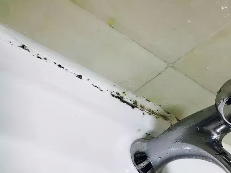 一个卫生间，就可以看出业主是住在南方还是北方！差别真的好大！休闲区蓝鸢梦想 - Www.slyday.coM