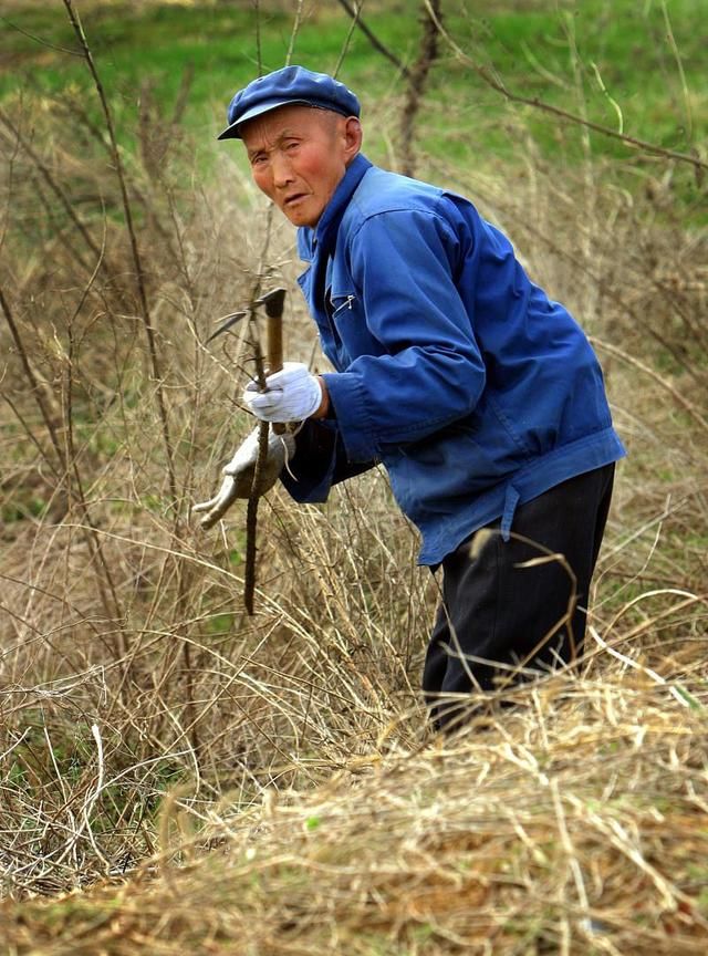 农村老人子女每月有供给为何还要坚持每天下地干农活