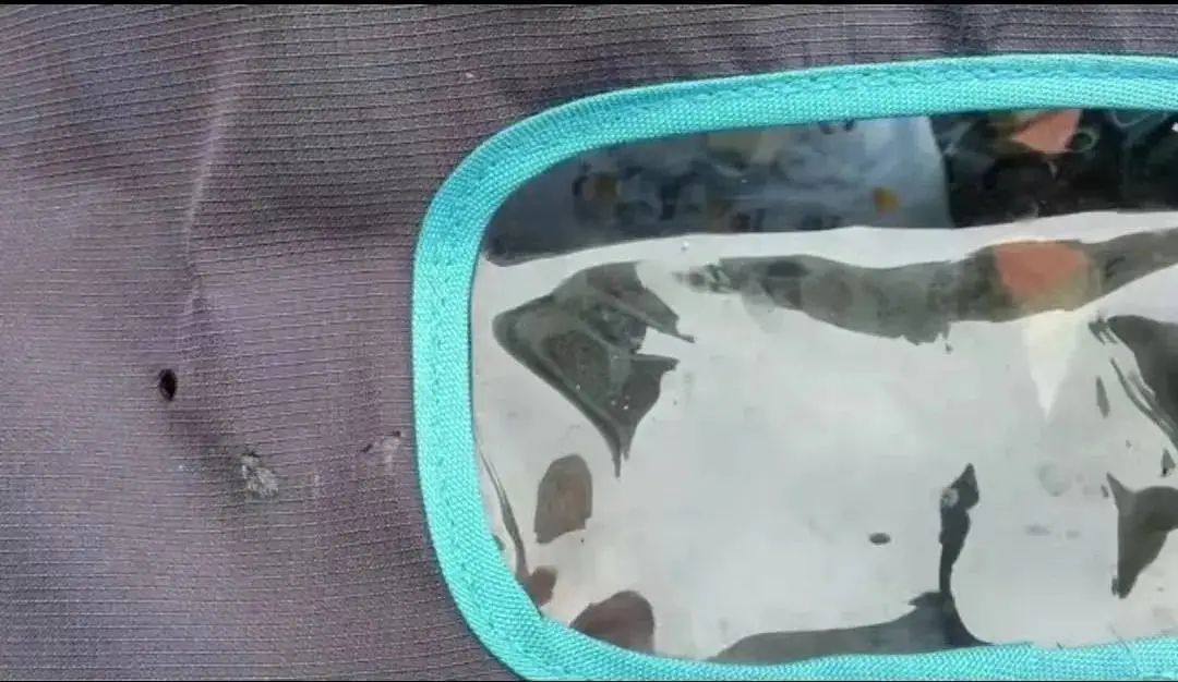 高空掉烟头烫穿婴儿车车顶，警方回应：扔烟头男子已道歉休闲区蓝鸢梦想 - Www.slyday.coM