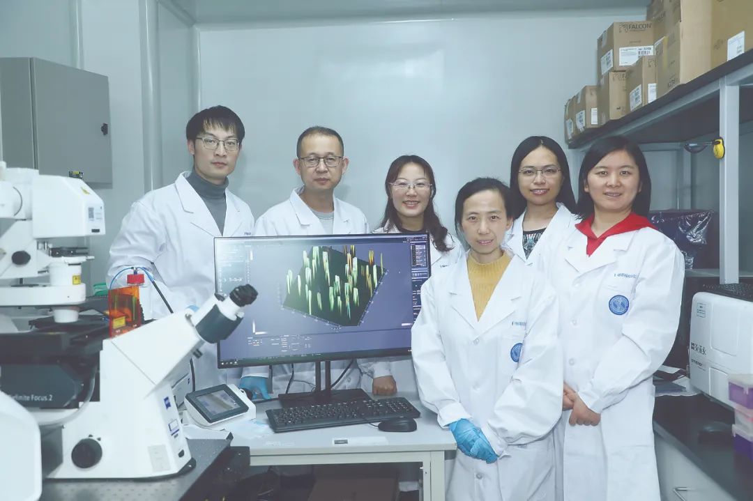 他们研究的这道题，关系亿万百姓福祉！|干细胞_新浪财经_新浪网
