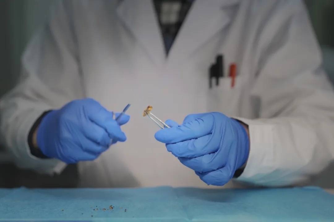 高空掉烟头烫穿婴儿车车顶 警方回应：扔烟头男子已道歉获当事人谅解休闲区蓝鸢梦想 - Www.slyday.coM