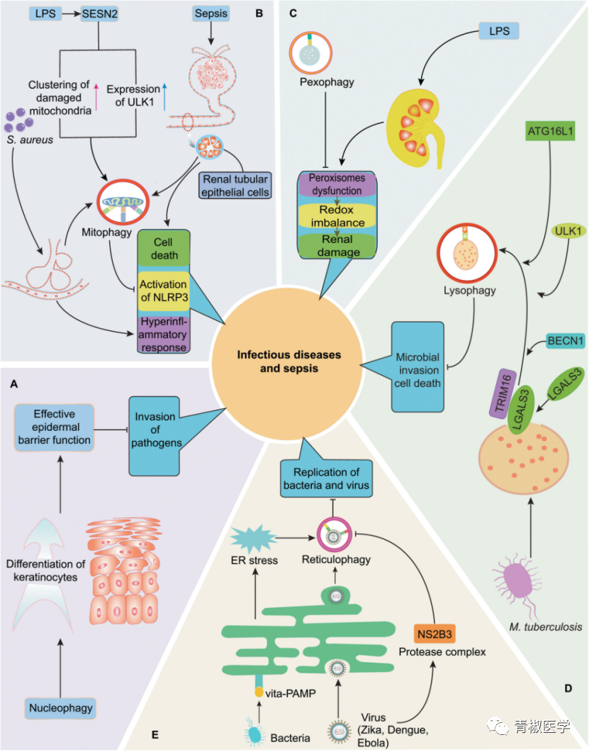 怎样高效约到附近缺钱学生？3种零成本靠谱方法实测