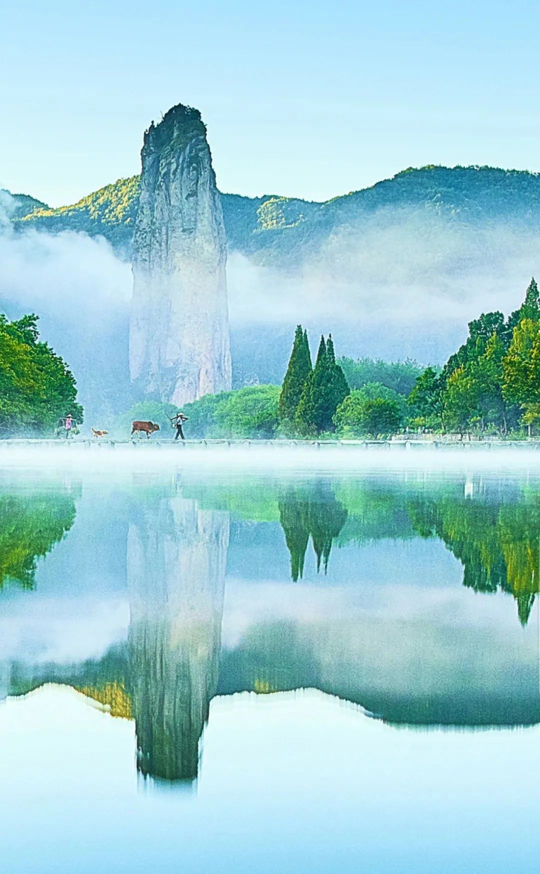 蒋勤勤,杨蓉来丽水了?丽水这个大明星喜欢的地方,频频"出镜",颜值破防