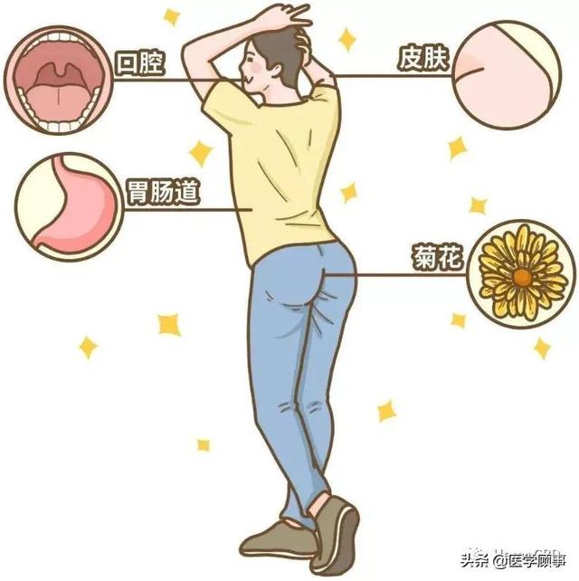 诺贝尔获奖的 Trp通道 以及大麻素 诺贝尔 新浪新闻