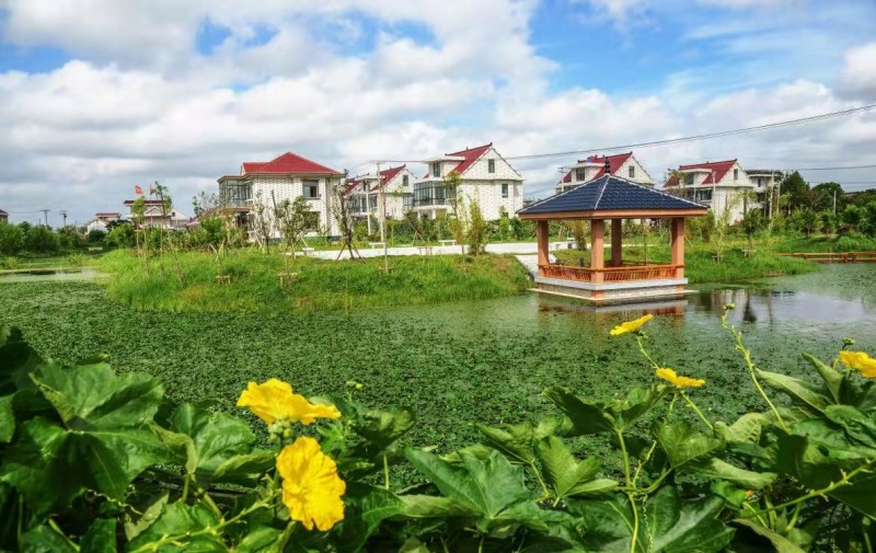 西亭镇:聚焦"四个一",吹响"两在两同"奋进号角|乡村振兴_新浪新闻