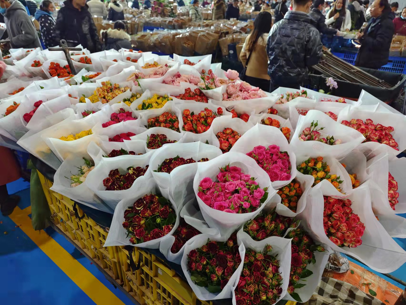 我在云南昆明卖鲜花日销万枝一年收入3000万