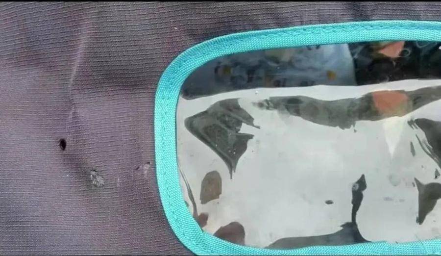 高空掉烟头烫穿婴儿车车顶，警方：扔烟头男子已道歉获当事人谅解休闲区蓝鸢梦想 - Www.slyday.coM