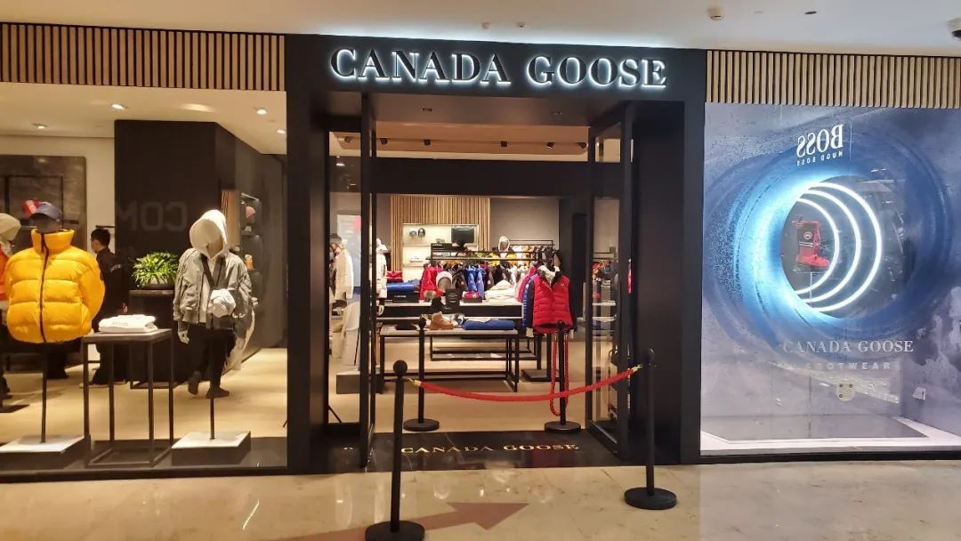 加拿大鹅可以退了江苏省消保委发声消费者需要一个明确解释