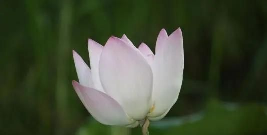 原来,水瓶座只是在假装高冷,越沉默,越放不下休闲区蓝鸢梦想 - Www.slyday.coM