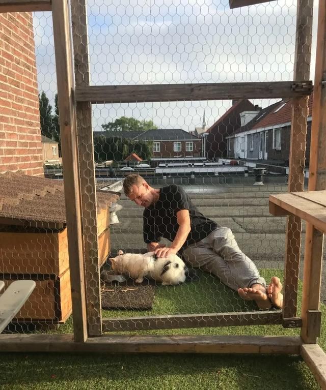 网友打造猫咪豪宅,只为赢得一只流浪猫的芳心,最后成功把它收编休闲区蓝鸢梦想 - Www.slyday.coM 网友打造猫咪豪宅,只为赢得一只流浪猫的芳心,最后成功把它收编休闲区蓝鸢梦想 - Www.slyday.coM