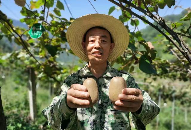 安康驻村书记上央视！唱响陕西乡村美！「959关注」休闲区蓝鸢梦想 - Www.slyday.coM