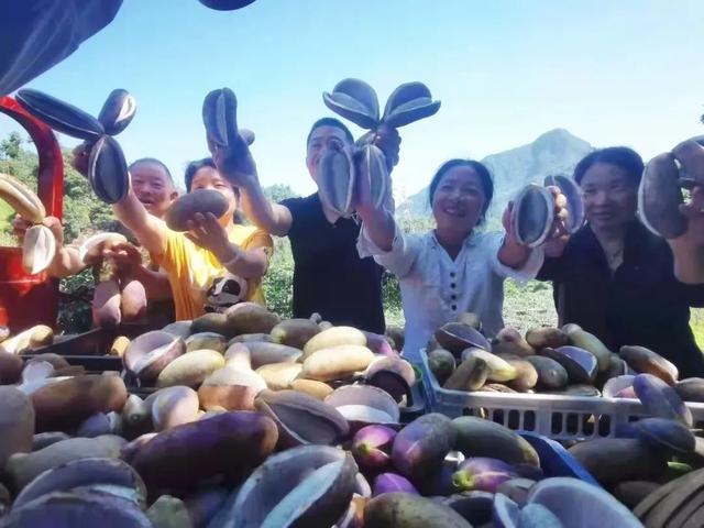 安康驻村书记上央视！唱响陕西乡村美！「959关注」休闲区蓝鸢梦想 - Www.slyday.coM