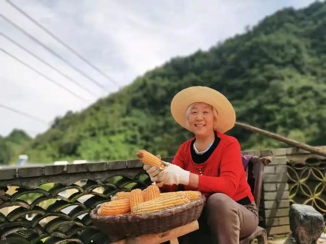 安康驻村书记上央视！唱响陕西乡村美！「959关注」休闲区蓝鸢梦想 - Www.slyday.coM