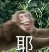 终结者成为可能？可以繁殖的活体机器人诞生！休闲区蓝鸢梦想 - Www.slyday.coM