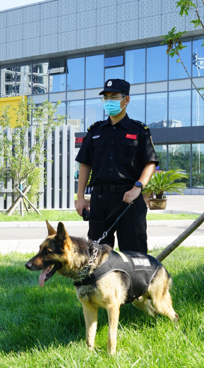 散打冠军,全国先进保安员."藏龙卧虎"的潍坊保安人