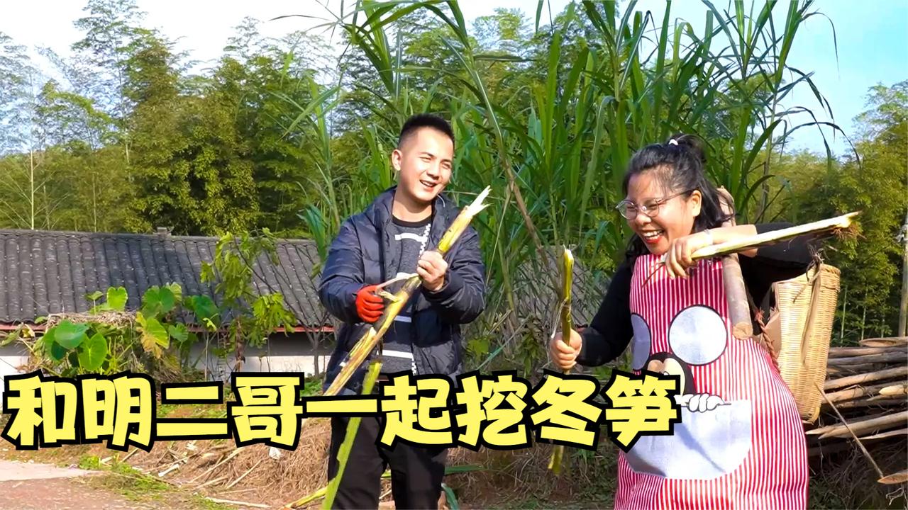 明二哥来英子家挖冬笋,老爸交代土地,明二哥给出一个建议太好了