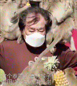 终结者成为可能？可以繁殖的活体机器人诞生！休闲区蓝鸢梦想 - Www.slyday.coM