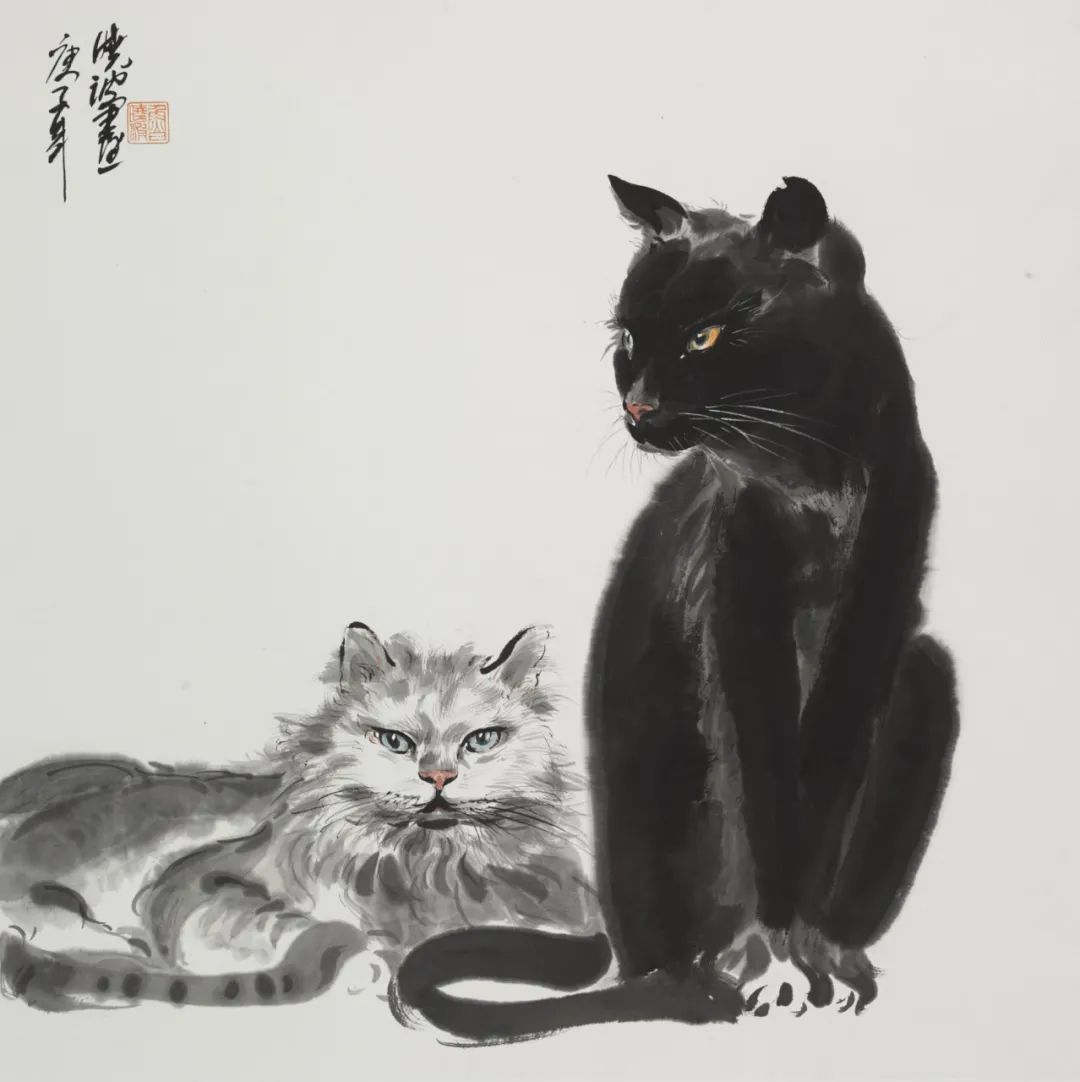 rrpeople鲁晓波初心可贵