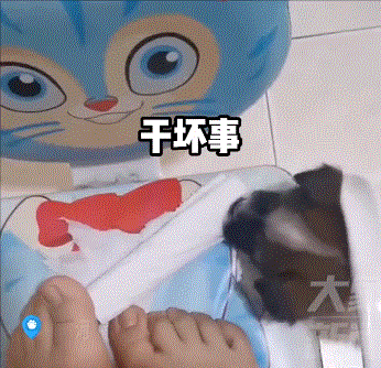 终结者成为可能？可以繁殖的活体机器人诞生！休闲区蓝鸢梦想 - Www.slyday.coM