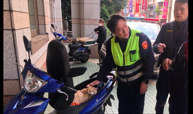 老人因喜欢橘猫将它偷走，警察找上门后哭笑不得，它还在埋头干饭休闲区蓝鸢梦想 - Www.slyday.coM