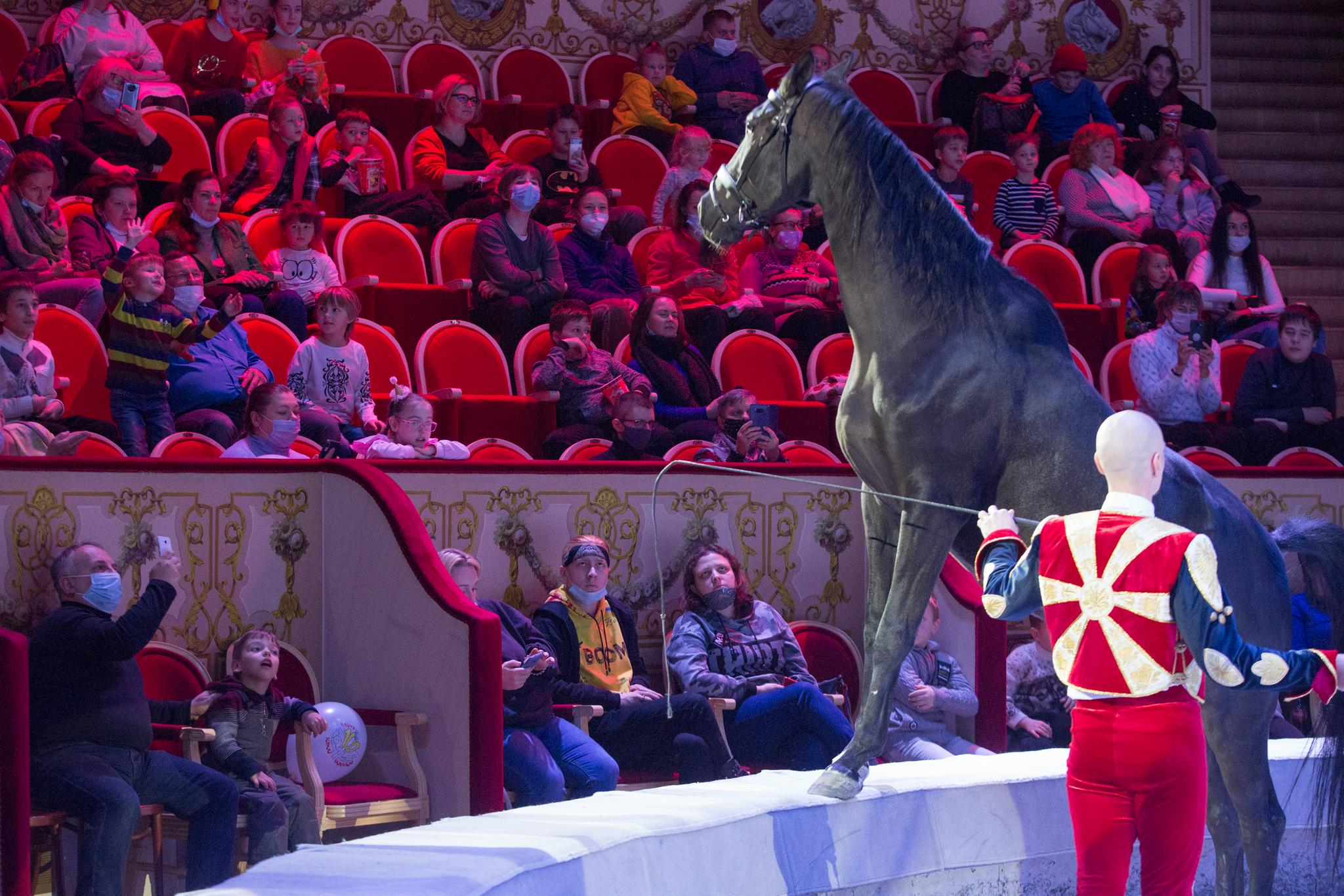 12月3日,观众在俄罗斯圣彼得堡国立大马戏院观看马戏表演.