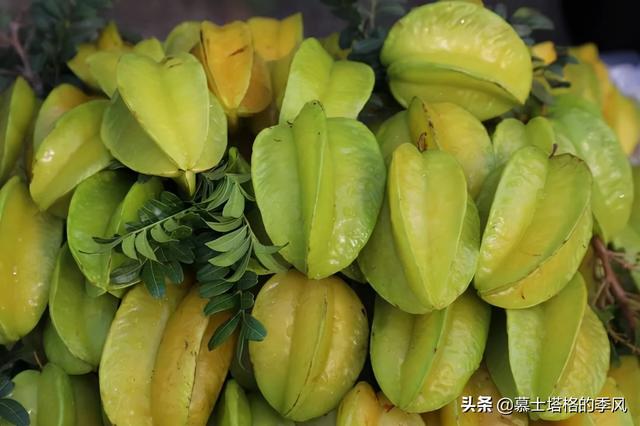 冬天不用去海南了，这5座小城都是老年人过冬避寒的好地方休闲区蓝鸢梦想 - Www.slyday.coM