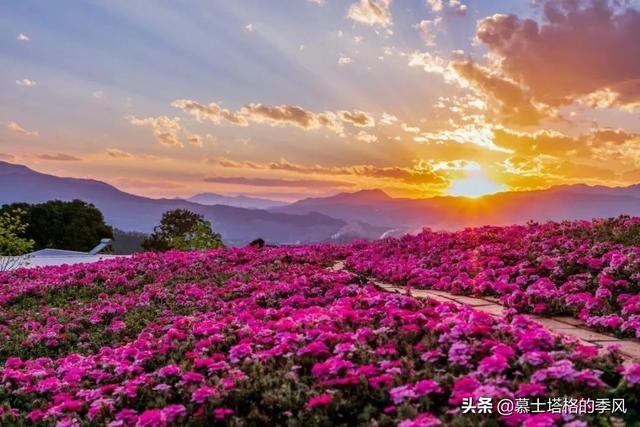 冬天不用去海南了，这5座小城都是老年人过冬避寒的好地方休闲区蓝鸢梦想 - Www.slyday.coM