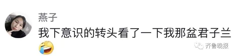 定闹钟浇水半年，才发现养的是塑料花……休闲区蓝鸢梦想 - Www.slyday.coM