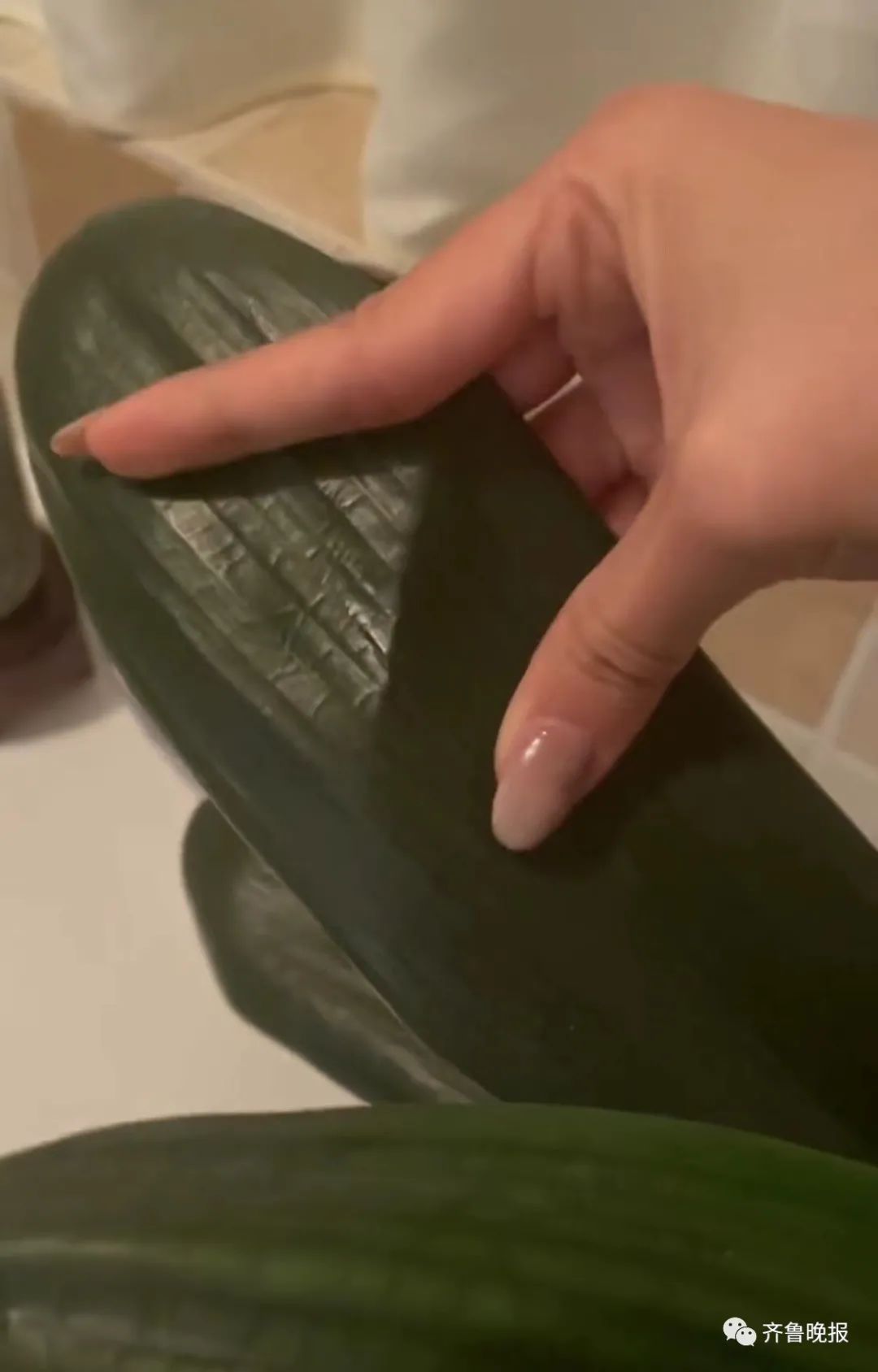 定闹钟浇水半年，才发现养的是塑料花……休闲区蓝鸢梦想 - Www.slyday.coM