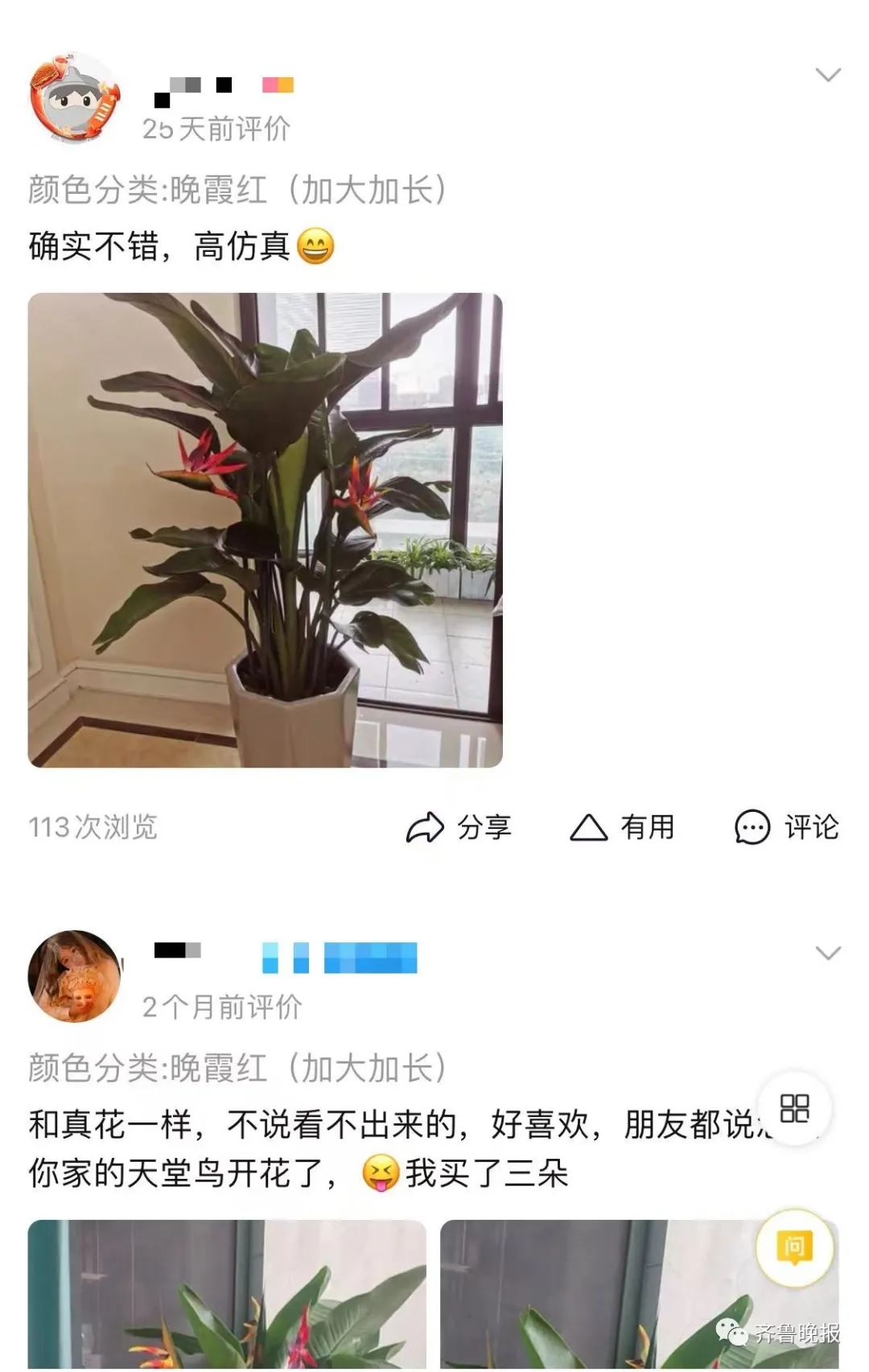 定闹钟浇水半年，才发现养的是塑料花……休闲区蓝鸢梦想 - Www.slyday.coM