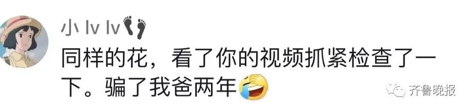 定闹钟浇水半年，才发现养的是塑料花……休闲区蓝鸢梦想 - Www.slyday.coM