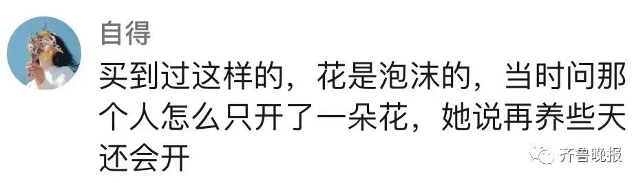 定闹钟浇水半年，才发现养的是塑料花……休闲区蓝鸢梦想 - Www.slyday.coM
