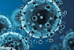 福建安溪县发现一例新冠病毒核酸检测阳性 系境外入境人员休闲区蓝鸢梦想 - Www.slyday.coM