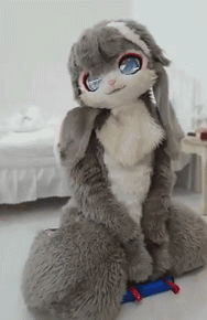 这个兔子的脸好仙啊我好像懂了福瑞控的点