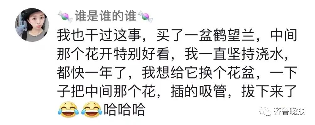 定闹钟浇水半年，才发现养的是塑料花……休闲区蓝鸢梦想 - Www.slyday.coM