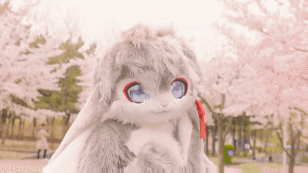 这个兔子的脸好仙啊我好像懂了福瑞控的点