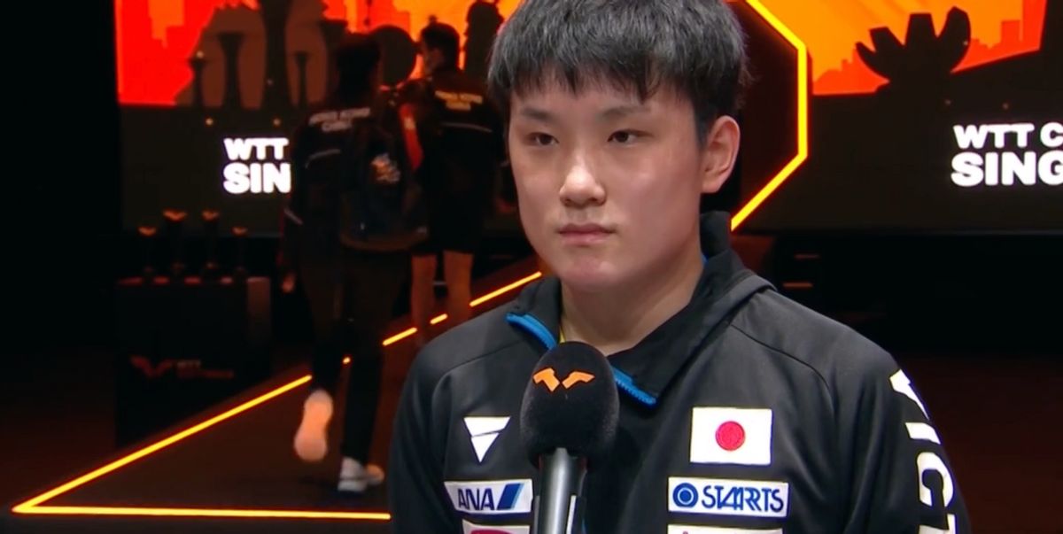 张本智和3休闲区蓝鸢梦想 - Www.slyday.coM