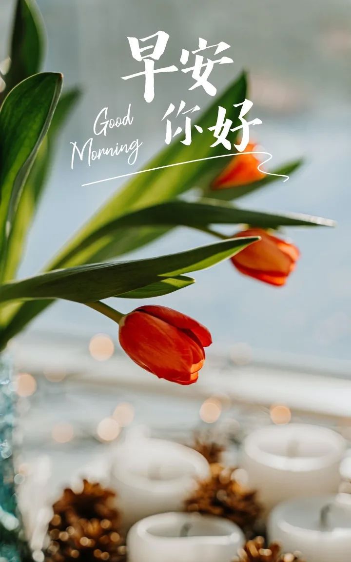 早安励志心语图片
