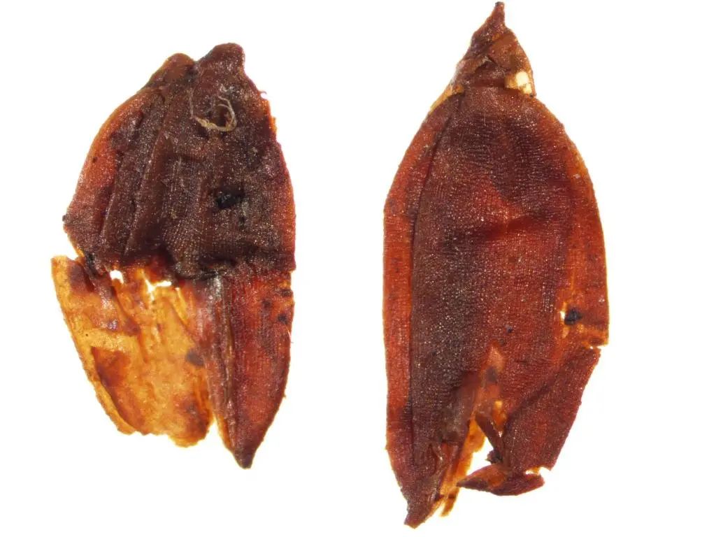 今日新闻综述丨云南瑞丽、陇川新增本土确诊病例各1例昆明部分共享助力车骑行价格已上调……休闲区蓝鸢梦想 - Www.slyday.coM
