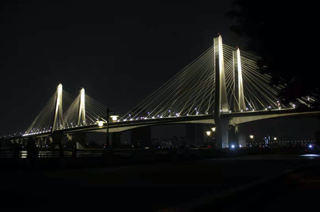 今年2月8日晚，洛溪大桥新桥正式通车。信息时报记者 韩春华 摄