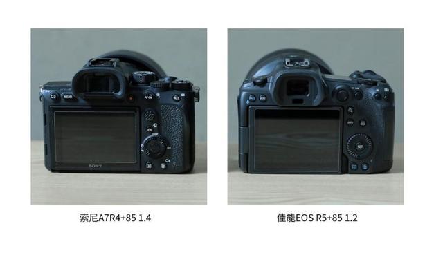 动物眼部对焦佳能eosr5和索尼a7r4哪台相机更胜一筹