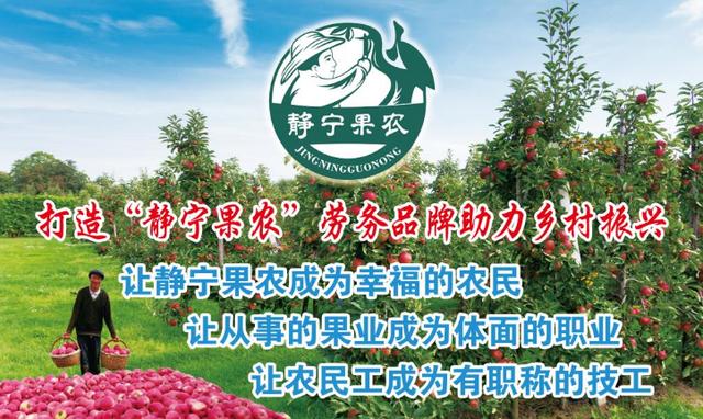 【奋斗百年路 启航新征程·乡村振兴我先行】“静宁果农” 有职称的新时代农民技工休闲区蓝鸢梦想 - Www.slyday.coM