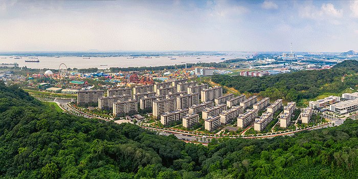 一路追"枫"探繁华,美好生活尽在华侨城|南京市|栖霞山|欢乐谷_新浪