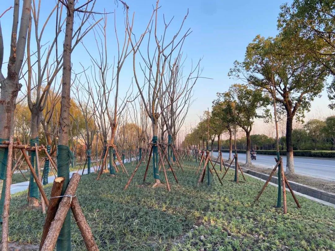 改造后的东大公路